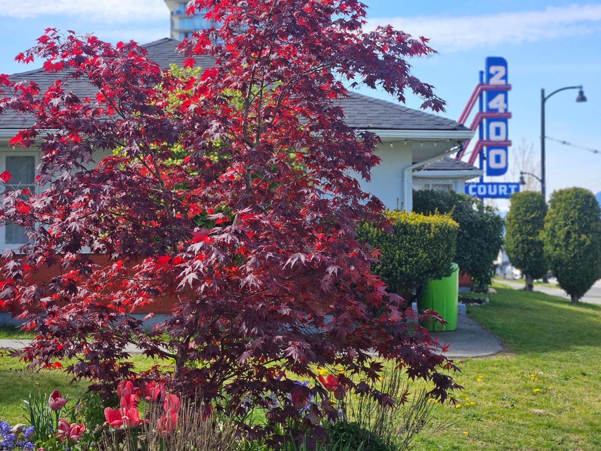 2400 Motel Vancouver Zewnętrze zdjęcie
